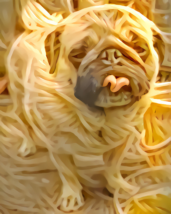 Noodle Pug