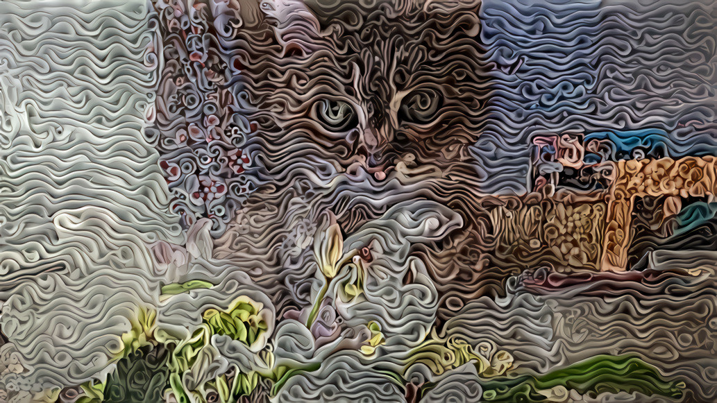 Swirly Cat