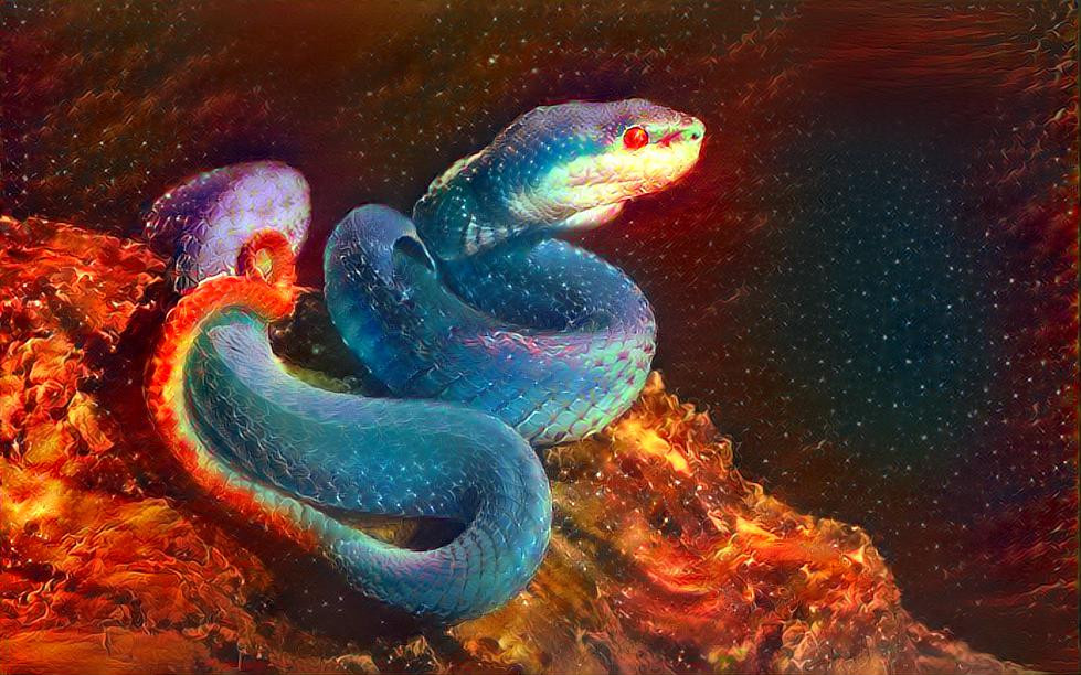 Water Snake In The Fire