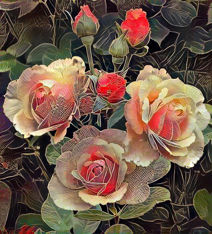 Pattern Roses
