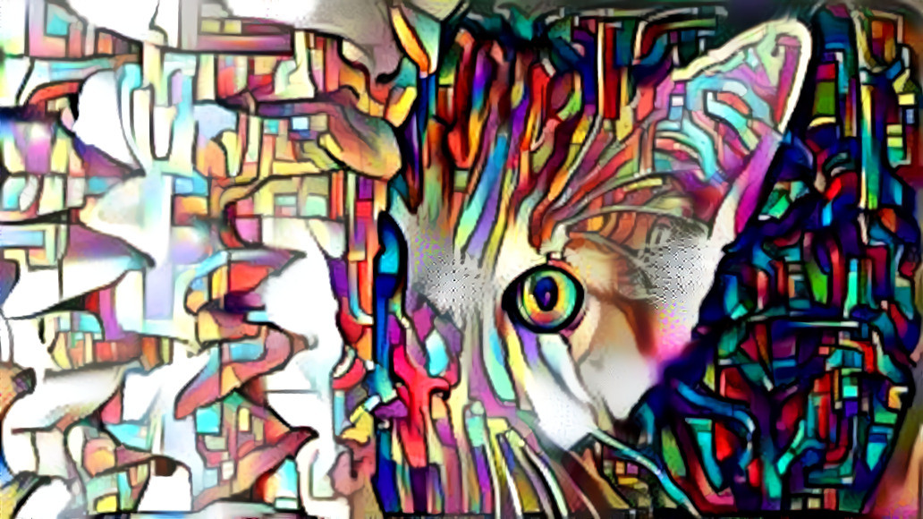 Cat Leidoscope