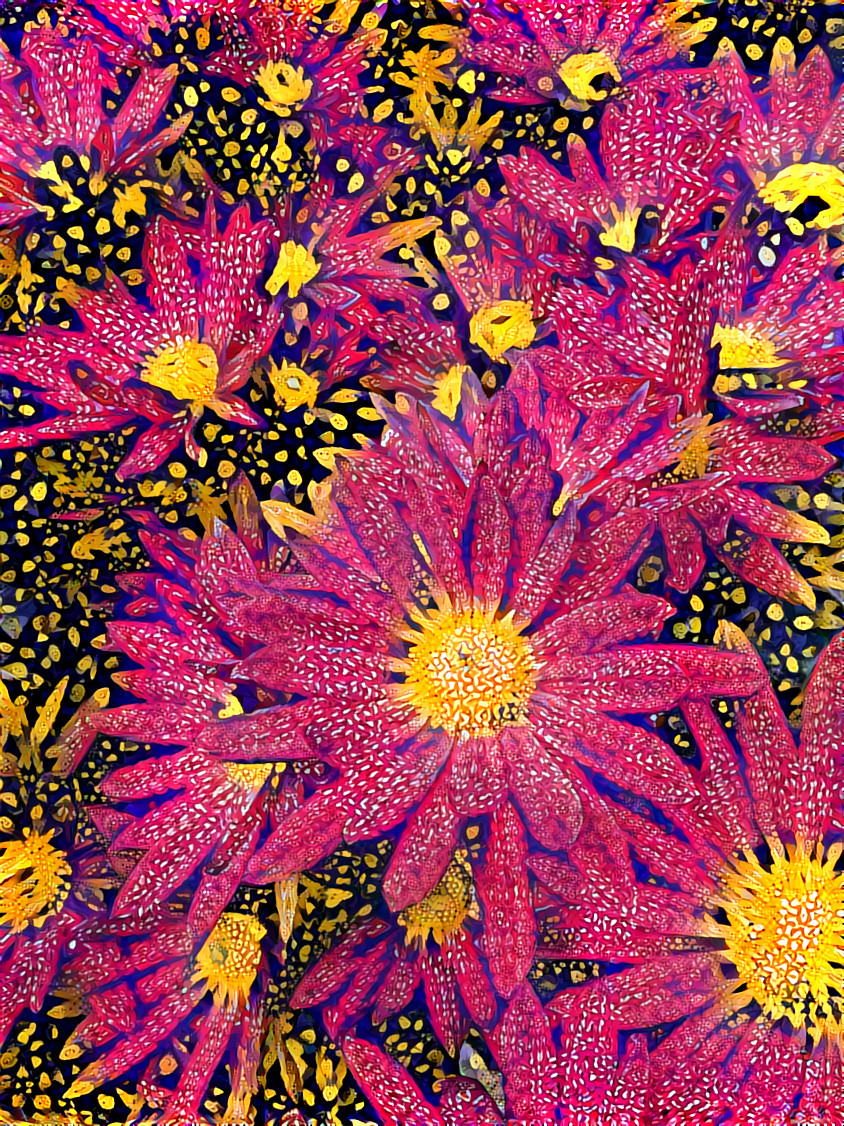 Chrysanthemum 6 pattern 1 kaleider 5