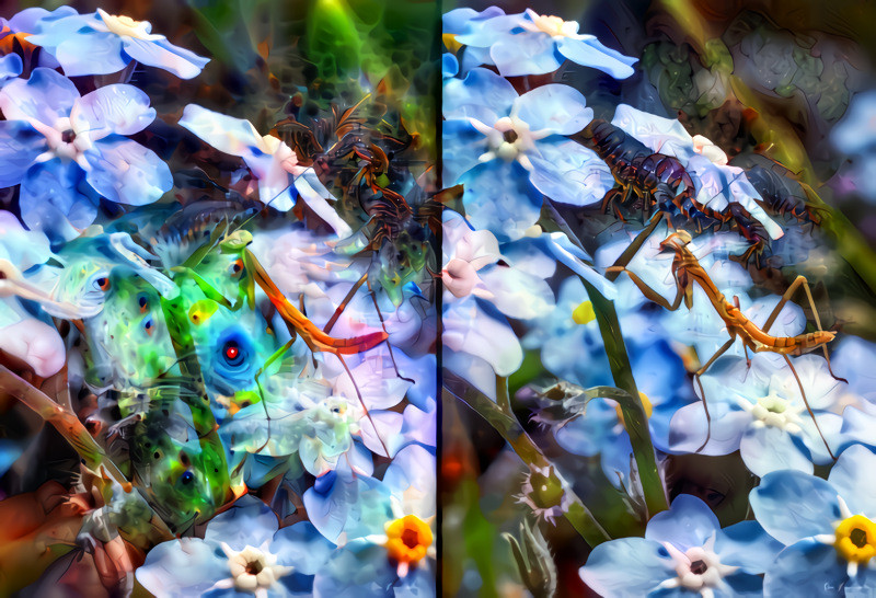 mantis religiosa en flores