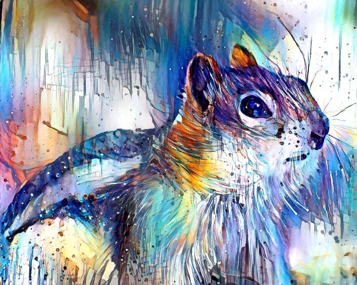 rainbow squirrel 