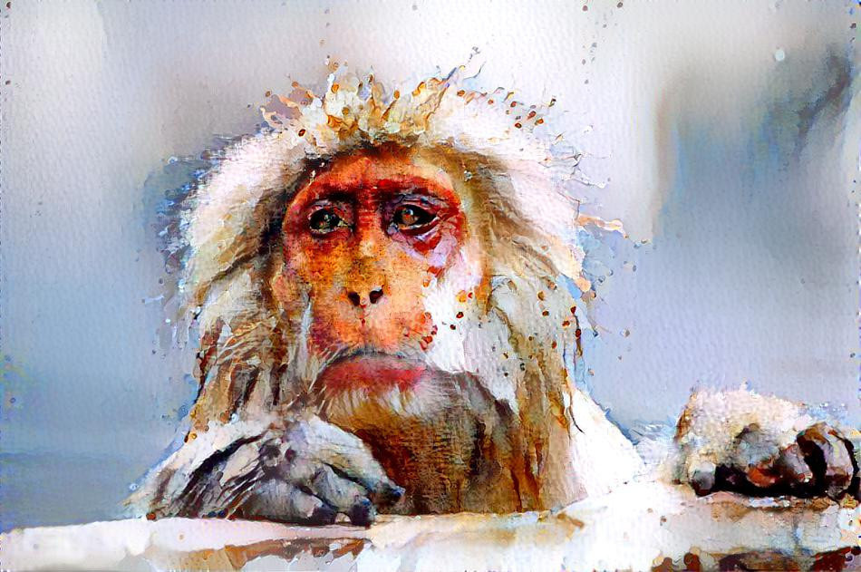 Mackak Monkey Portrait