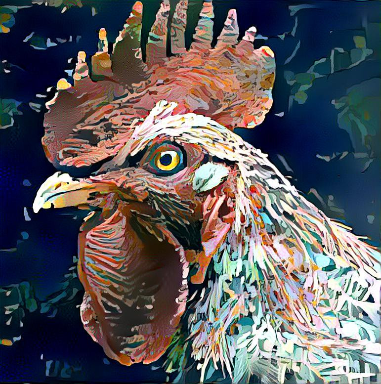 Rooster power
