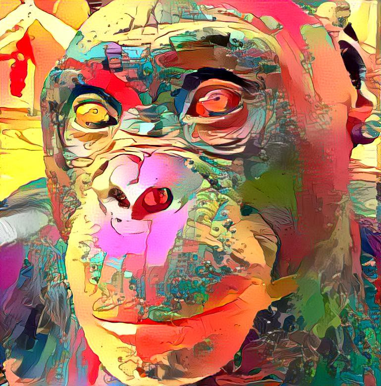 chimpanzee5