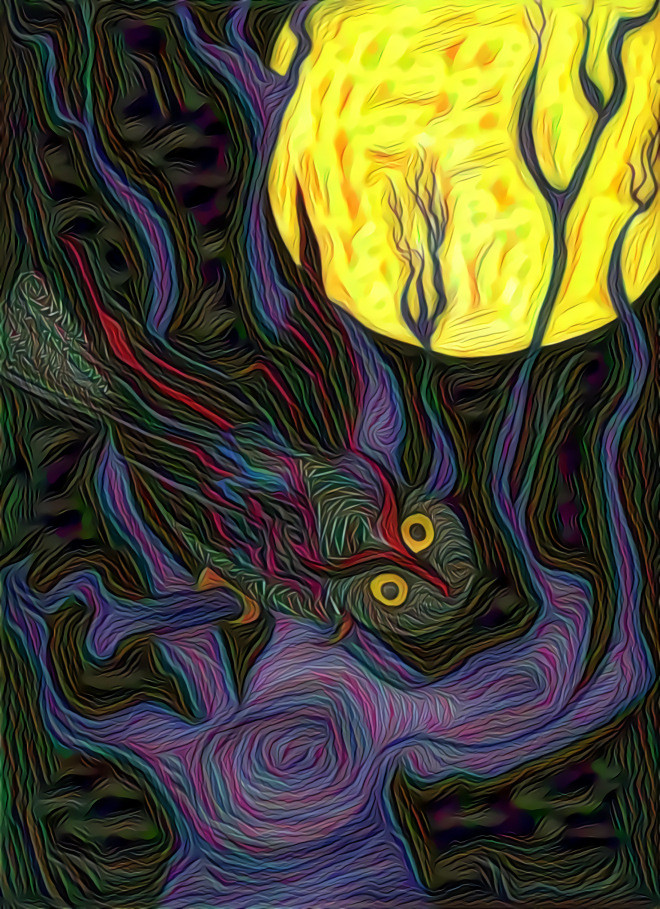 Sebastian's Owl Swirly Dream