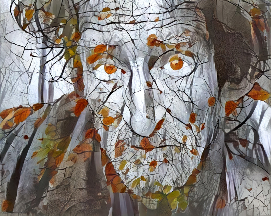 Old man in autumn 