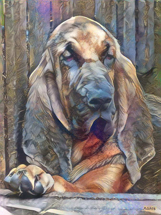 My bloodhound boy Florek as a puppy