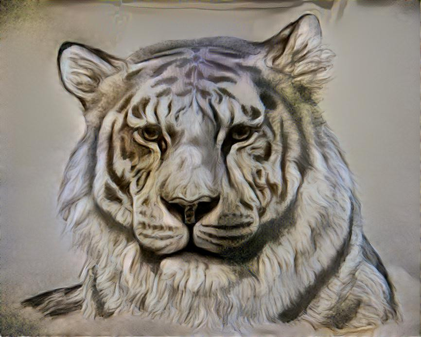 Tiger Re-Sketched