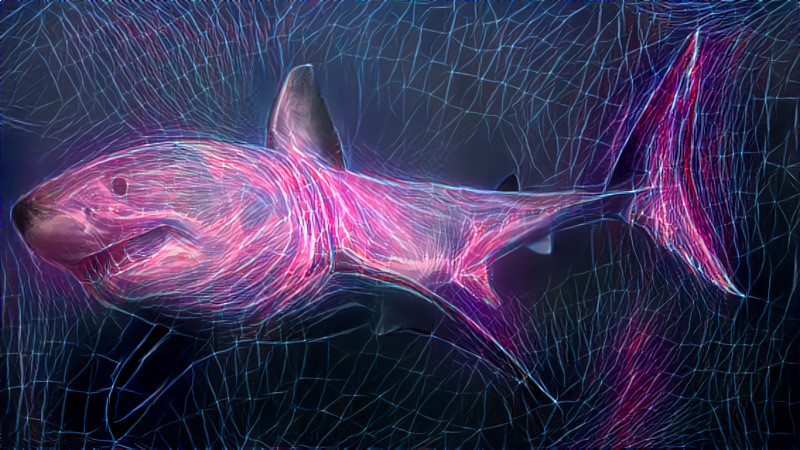 Plasma Shark