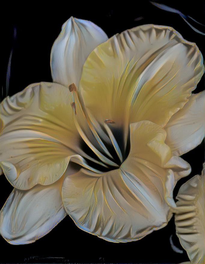 Day Lilly Dream 2